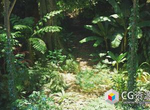 UE虚幻引擎热带雨林环境包 Rain Forest Pack