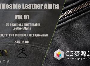 30个皮革无缝平铺贴图素材 30 Leather Alphas