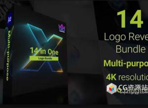 AE模板-三维Logo生长动画标志展示套装14合一 Logo Reveal Bundle 14 in One