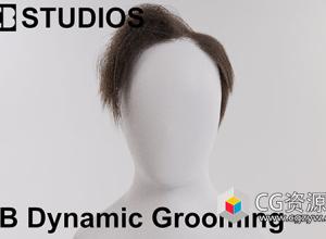 Blender头发模拟生成插件 Dynamic Grooming v0.67 + 使用教程