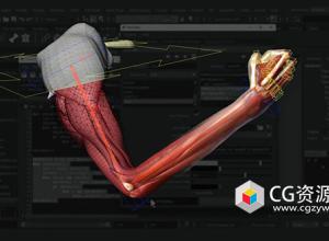 Ziva插件肌肉绑定动画Maya教程+中英字幕