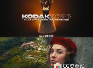 达芬奇调色节点-柯达2383光晕发光颗粒电影胶片模拟 Kodak 2383 Cinematic PowerGrade
