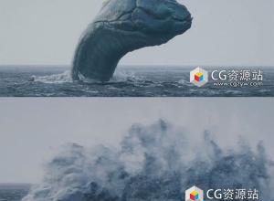 Houdini海洋生物冲出海面大面积水花特效完整流程视频教程 +中英文字幕