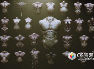 ZBrush 33种生物怪物躯干笔刷模型预设 33 Character & Creature Zbrush Insertmesh Brus
