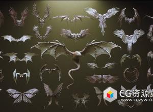 ZBrush 33个生物角色翅膀IMM笔刷3D模型合集