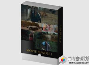 6组索尼Sony S-LOG 3电影调色LUTS预设 Movie Bundle 1