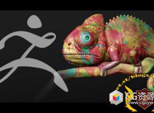 ZBrush基础入门全面视频教程+中文字幕