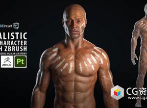 使用Zbrush制作逼真3D角色人体骨架肌肉解剖视频教程