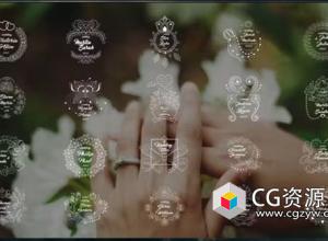 达芬奇模板-甜蜜爱情花环装饰婚礼标题动画 Wedding Titles