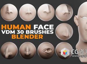 Blender-面部五官鼻子眼睛嘴巴耳朵VDM笔刷预设 Human Face Vdm Brushes