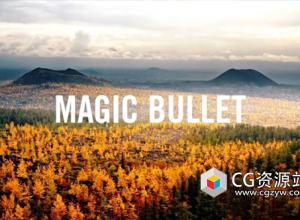 红巨星调色套装 Magic Bullet Suite V2024.3.1 Win/Mac