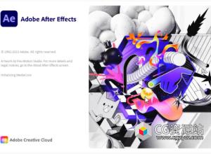 AE2024软件 After Effects 2024 v24.6.2 中/英文版 Win Mac