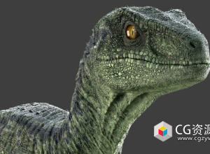 Maya恐龙绑定3D模型 Raptor Maya Rig