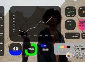 FCPX插件-11组信息数据图表动画 Infographics