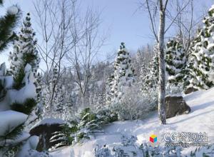 3DS MAX冬天雪覆盖植物树木3D模型 NM-Lab – Svaeren Winter Pack