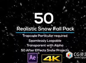 AE模板-50种逼真冬季雪花飘落下雪动画 Realistic Snow Falls Projects Pack