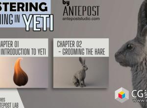 Yeti插件真实毛发模拟Maya教程+中文字幕