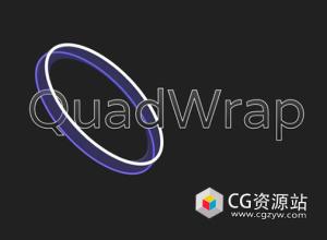 Blender重拓扑插件 Quadwrap V1.3 – Retopology Tool