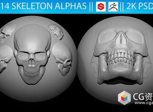 14组骷髅Alpha贴图PSD格式 14 Skeleton Alphas Vol.2 (ZBrush, Substance, 2K)