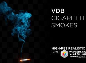 5组香烟烟雾VDB模型预设 High-Res VDB Cigarette Smokes