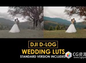 142个婚礼调色预设 DJI D-Log Wedding LUT