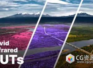20组自然风景红外LUT视频调色预设 Aerochrome Infrared LUTs