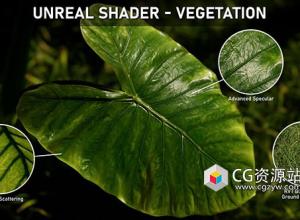 UE5植物植被材质制作教程+中英文字幕 Unreal Shader – Vegetation