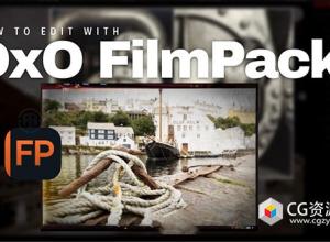 胶片模拟数码照片调色软件 DxO FilmPack 7.16.0.8 中文版 Win