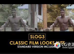 Slog3 经典电影外观LUTs视频调色预设 Slog3 Classic Film Looks and Standard Color LUTs