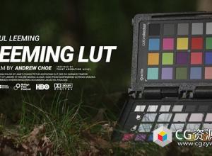 DJI大疆影视级质感镜头LUTs调色预设 Leeming LUT Pro III for DJI Osmo Pocket 3