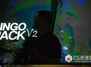 300组复古潮流嘻哈摇晃旋转定格运动AE预设效果包 Payhip – Lingo Pack V2