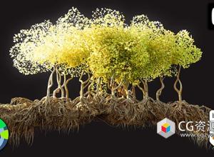 Blender几何节点高级视频教程+中英文字幕