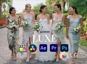 优雅婚礼旅拍人像摄影黑白色彩分级LUTS调色预设 Gamut – Luxe