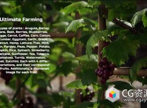 UE5农作物道具农场主题游戏资产 Ultimate Farming