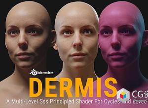 Blender多级SSS皮肤着色器资产预设 Dermis Shader v1.1