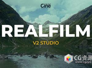 达芬奇调色节点-复古胶片模拟电影仿真调色预设 RealFilm Powergrade V2