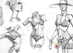 人体解剖学头部躯干手臂腿部绘画视频教程+中英文字幕 The Anatomy Survival Guide