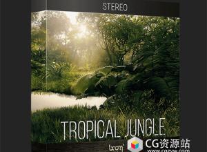 动物虫鸣鸟叫热带雨林自然环境无损音效 Tropical Jungle