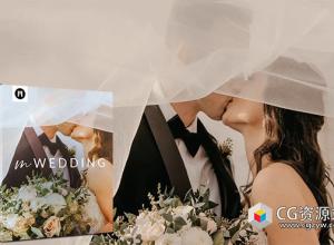 FCPX+达芬奇插件-浪漫婚礼视频剪辑元素文字标题排版转场过渡LUT预设 mWedding
