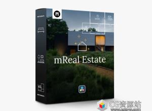 达芬奇插件-116组房地产宣传展示包装字幕标题预设 mReal Estate