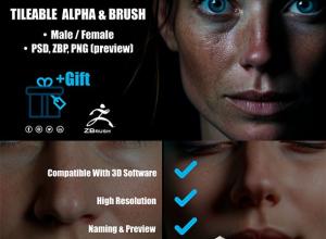 100组Zbrush逼真人物角色皮肤细节雕刻笔刷与Alpha纹理 Human Skin Kit