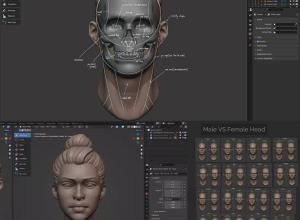 Blender人物头部肌肉骨骼3D建模雕刻大师高级教程 V1.3+中英文字幕