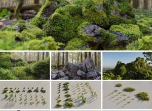 7种苔藓石头PBR纹理低多边形3D模型Blender/FBX/OBJ格式