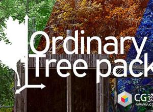 Blender常见树木植物资产预设 Ordinary Tree Pack