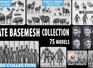Blender/Maya人物角色动物基础3D模型 Ultimate Basemesh Collection