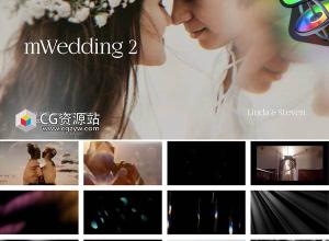 FCPX插件-56组婚礼视频特效叠加转场文字标题字幕预设 中英文版 mWedding 2