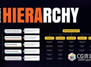 AE模板-层次结构图信息图表 Hierarchy Chart