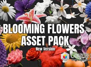 Blender盛开的花朵动画资产预设 Blooming Flowers V4.1