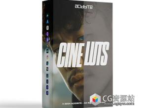 电影感婚礼LUTs视频调色预设  Cine LUTs