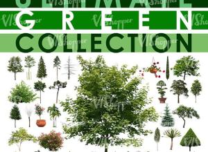 Vishopper出品242组树木植物建筑效果图背景插图JPG/PSD格式